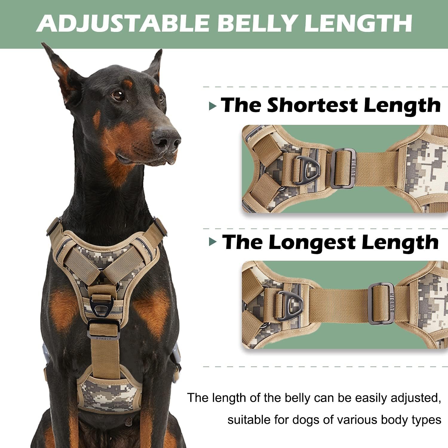 No Pull Dog Harness Review