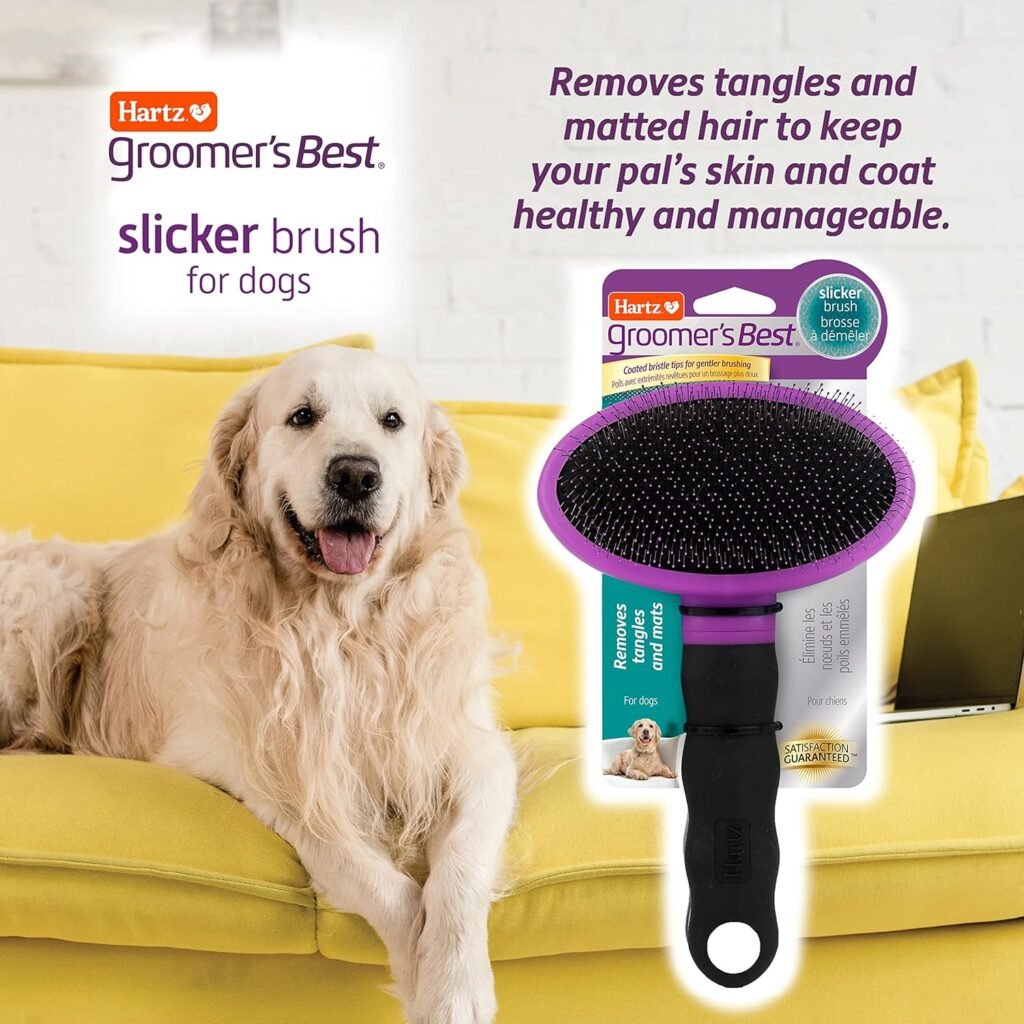 Hartz Groomers Best Deshedding Slicker Dog Brush, Black/Violet, Dogs