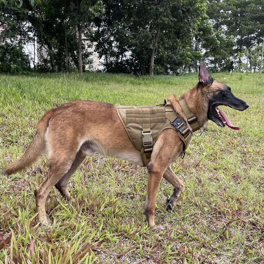 ICEFANG Tactical Dog Harness,Large Size, 2X Metal Buckle,Working Dog MOLLE Vest with Handle,No Pulling Front Leash Clip,Hook and Loop Panel