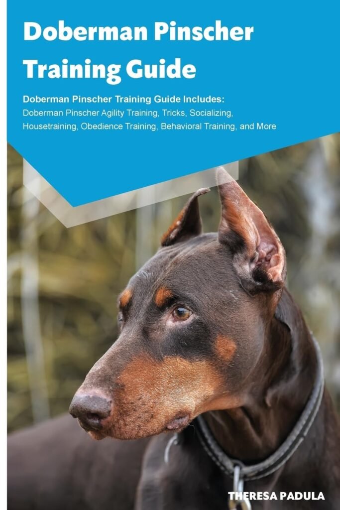 Doberman Pinscher Training Guide Doberman Pinscher Training Guide Includes: Doberman Pinscher Agility Training, Tricks, Socializing, Housetraining, Obedience Training, Behavioral Training, and More     Paperback – February 17, 2016