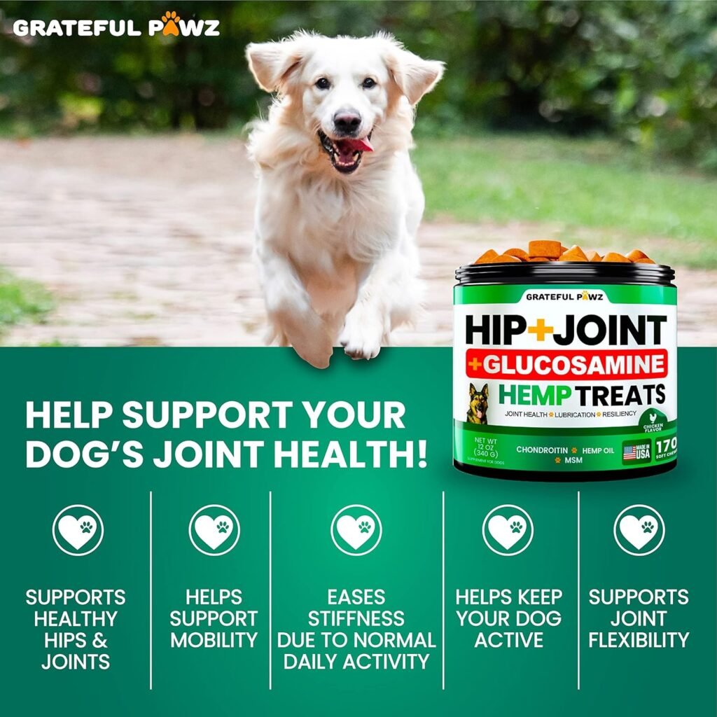 Hemp Hip and Joint Supplement for Dogs - Glucosamine for Dogs - 170 Dog Joint Pain Relief Treats - Chondroitin, MSM, Hemp Oil - Advanced Dog Joint Supplement Health - Mobility Support Chews