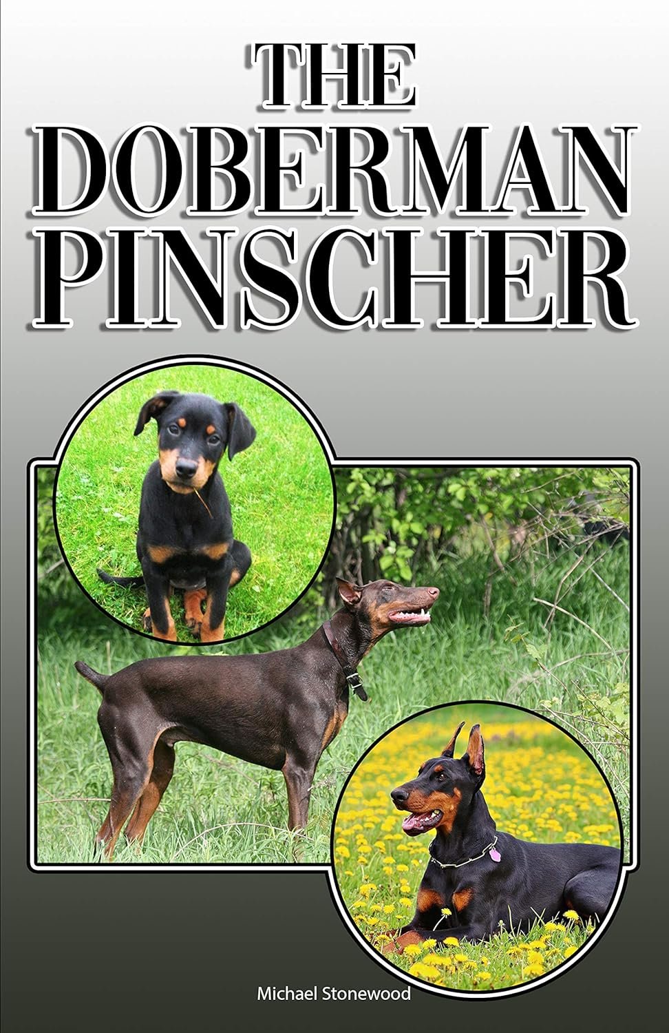 The Ultimate Doberman Pinscher Book: A Comprehensive Review