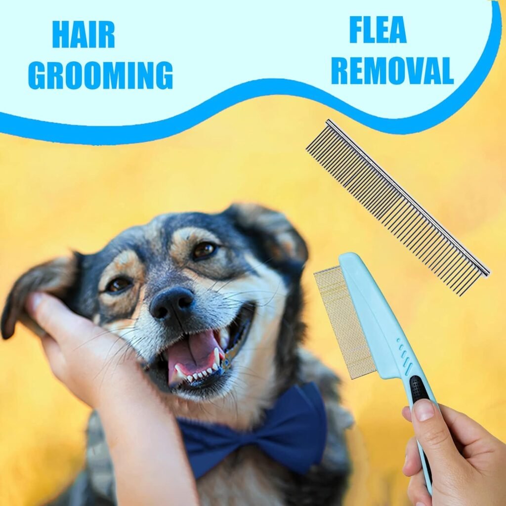 MASTER QUEEN Dog Brush Dog Grooming Kit 5PCS - Dog Brushes for Grooming, Dog Brush for Shedding,Puppy Brush and Flea Comb for Dogs, Slicker Brush for Dogs Comb and Dog Hair Brush Set Blue