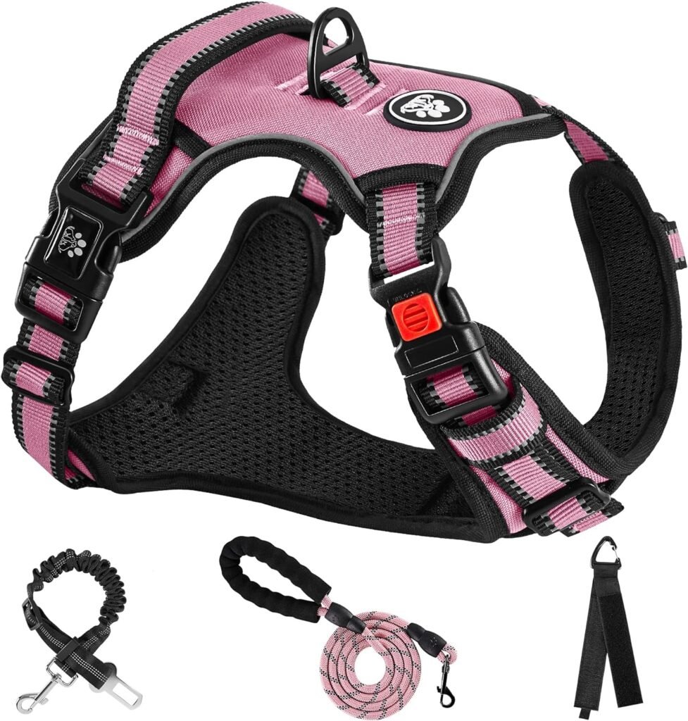 NESTROAD No Pull Dog Harness,Adjustable Oxford Dog Vest Harness with Leash,Reflective No-Choke Pet Harness with Easy Control Soft Handle for Small Dogs(X-Small,Pink)