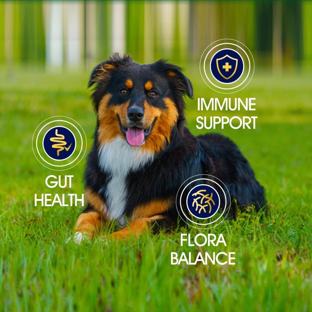 Probiotics for Dogs - Support Gut Health, Itchy Skin, Allergies, Immunity, Yeast Balance - Dog Probiotics and Digestive Enzymes with Prebiotics - Reduce Diarrhea, Gas - Probiotic Chews for Dogs